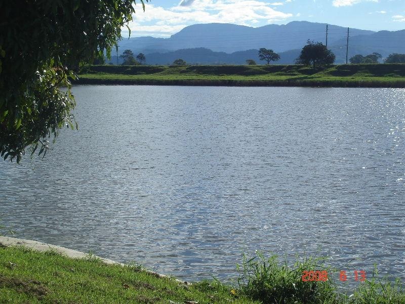 Murwillumbah NSW 2484