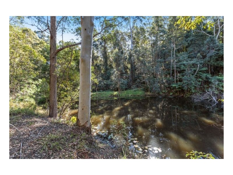 32 Wallaby Court, Stokers Siding NSW 2484