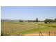 Murwillumbah NSW 2484