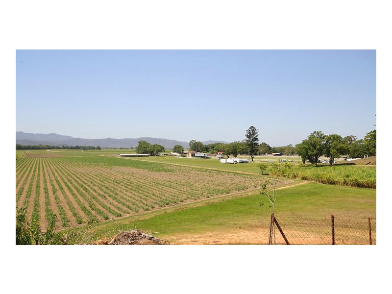 Murwillumbah NSW 2484