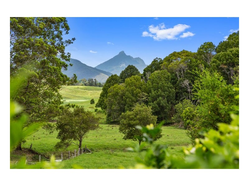 78 Reserve Creek Road, Kielvale NSW 2484