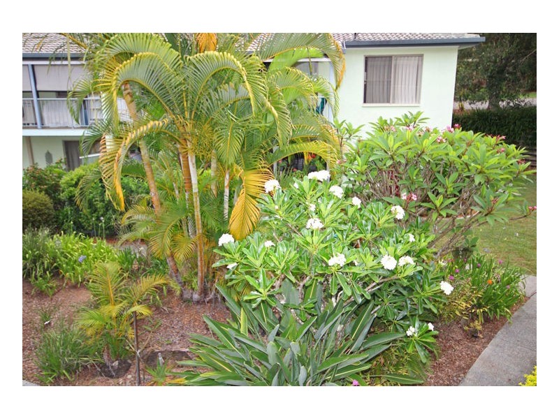 6 Oasis Walk, Murwillumbah NSW 2484