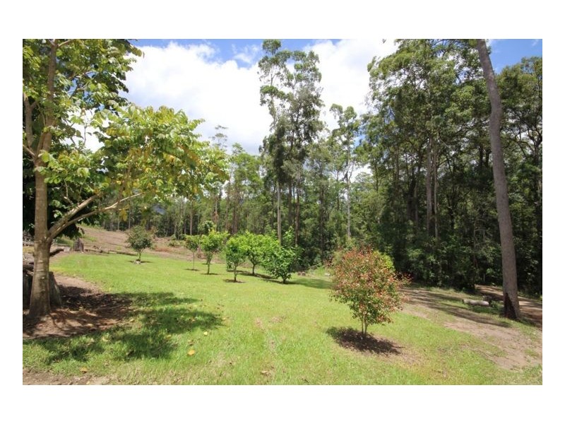 411 Commissioners Creek Road, Commissioners Creek NSW 2484