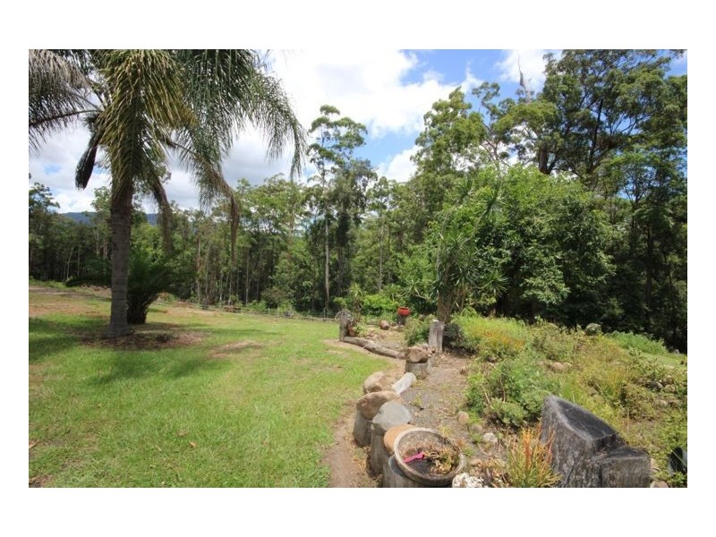 411 Commissioners Creek Road, Commissioners Creek NSW 2484