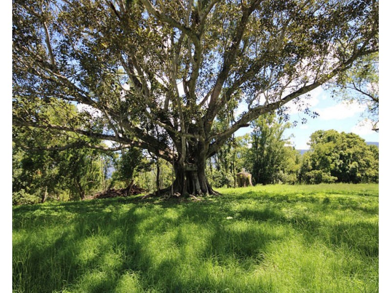 205 Pumpbenbil Road, Pumpenbil NSW 2484