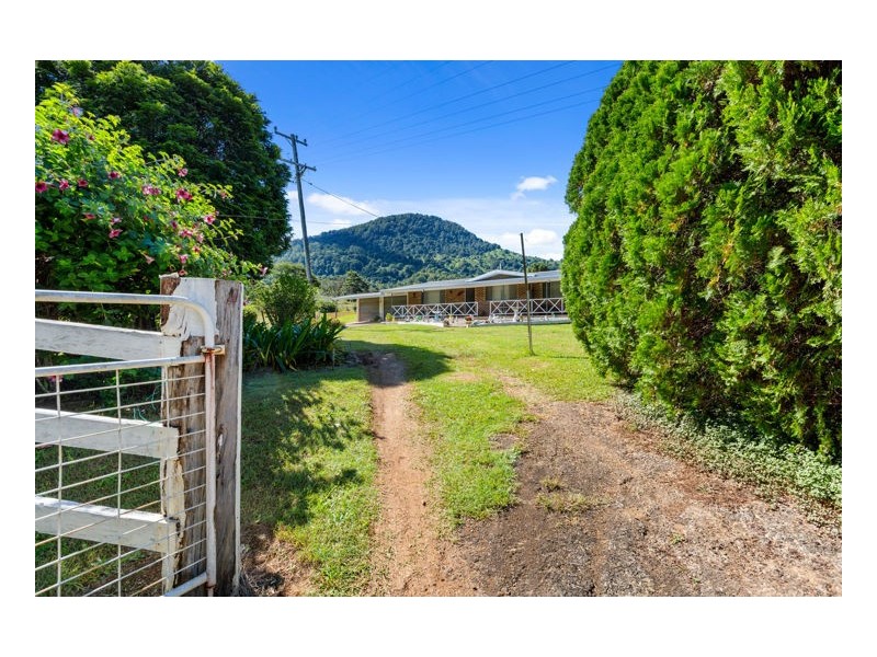 122 Limpinwood Valley Road, Limpinwood NSW 2484