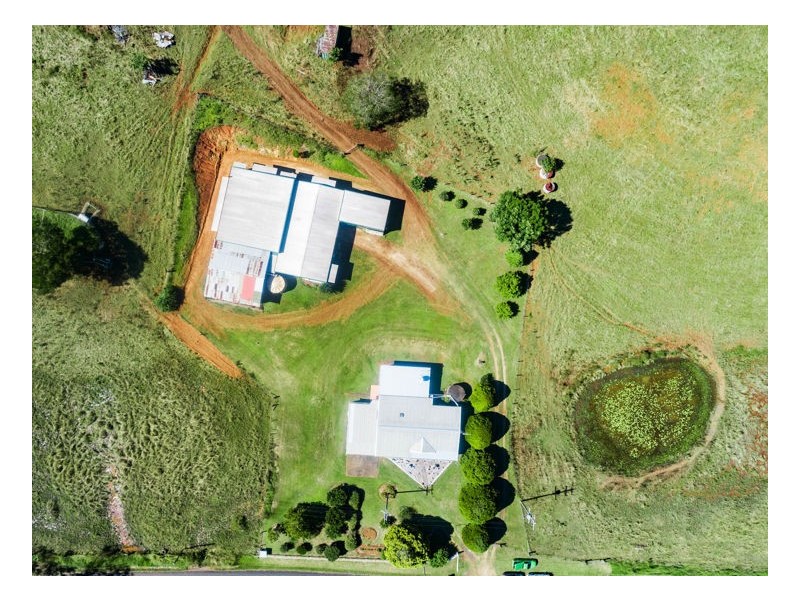 122 Limpinwood Valley Road, Limpinwood NSW 2484