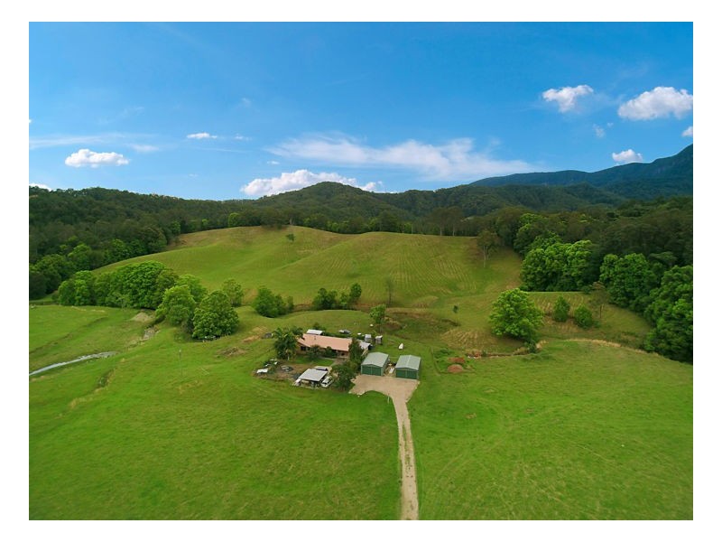 Upper Crystal Creek NSW 2484