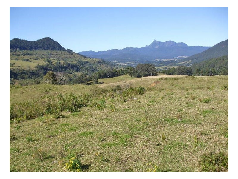 620 – 621 Limpinwood Valley Road, Limpinwood NSW 2484