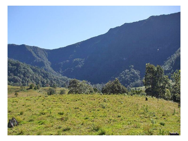 620 – 621 Limpinwood Valley Road, Limpinwood NSW 2484