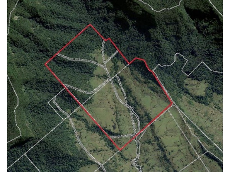 620 – 621 Limpinwood Valley Road, Limpinwood NSW 2484