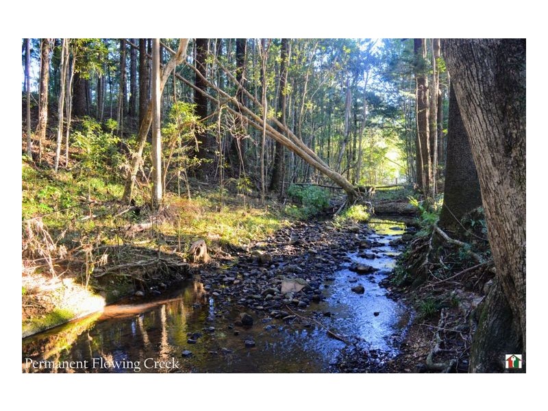 349 Pottsville Road, Sleepy Hollow NSW 2483