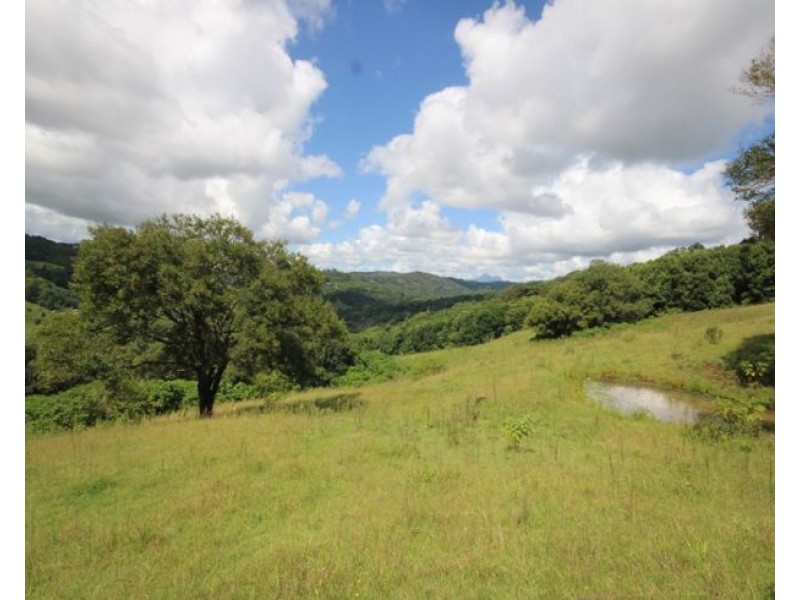 201 Carool Road, Bilambil NSW 2486