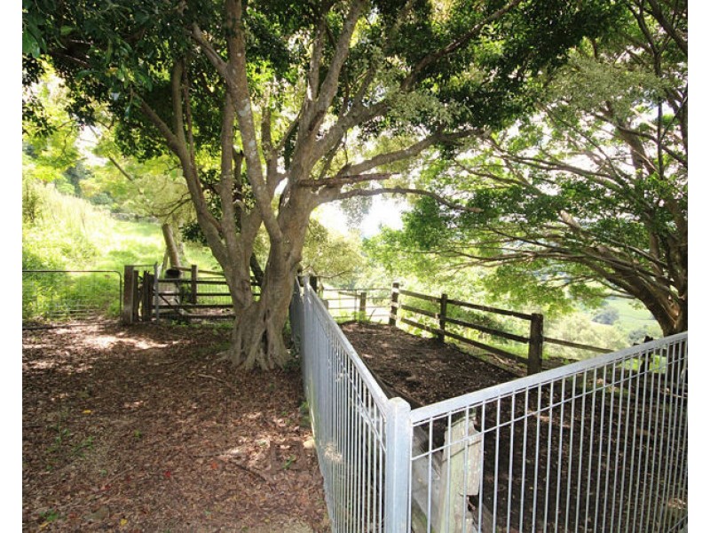 201 Carool Road, Bilambil NSW 2486