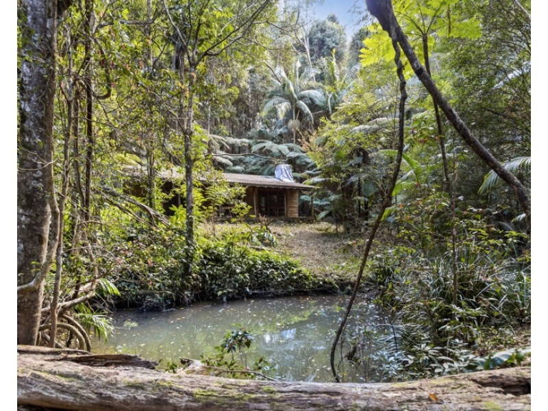 7 Ringtail Road, Stokers Siding NSW 2484