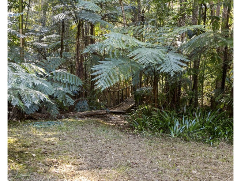 7 Ringtail Road, Stokers Siding NSW 2484