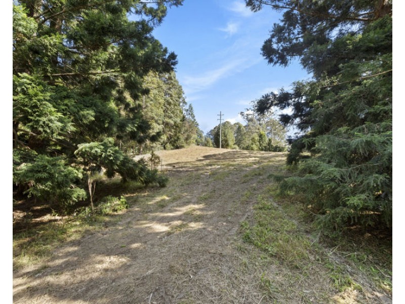 7 Ringtail Road, Stokers Siding NSW 2484