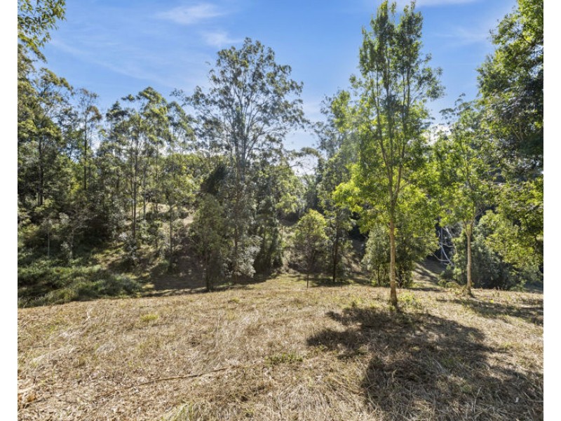 7 Ringtail Road, Stokers Siding NSW 2484