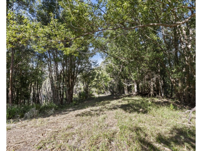 7 Ringtail Road, Stokers Siding NSW 2484