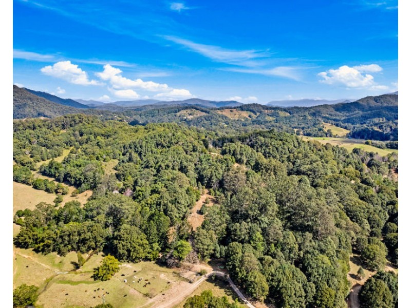 7 Ringtail Road, Stokers Siding NSW 2484