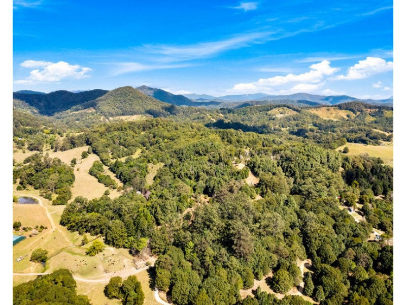 7 Ringtail Road, Stokers Siding NSW 2484