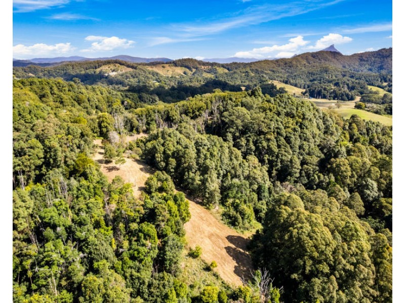 7 Ringtail Road, Stokers Siding NSW 2484