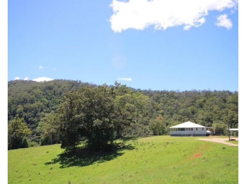 Eungella NSW 2484