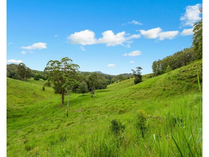 6 Ringtail Road, Stokers Siding NSW 2484