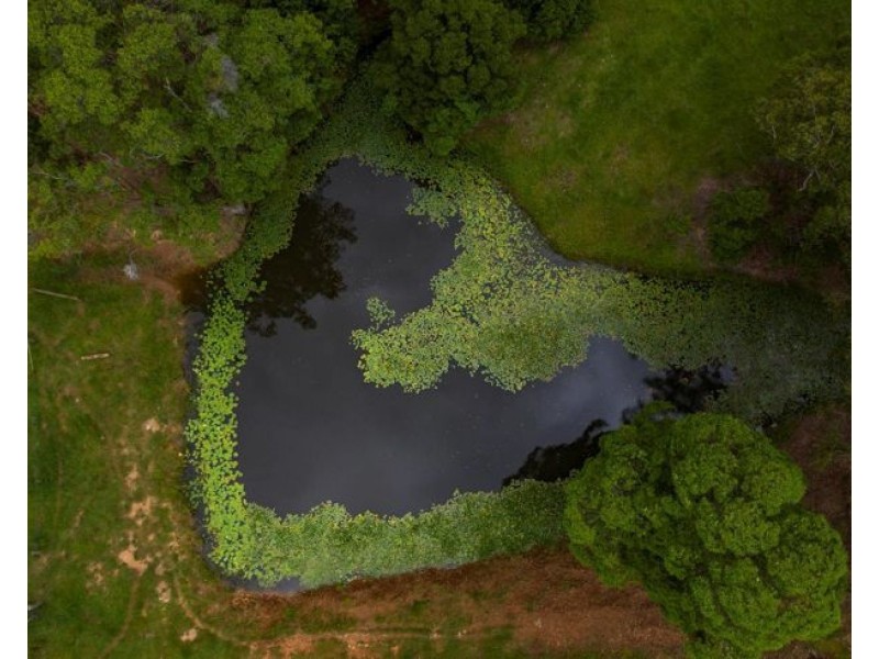 6 Ringtail Road, Stokers Siding NSW 2484