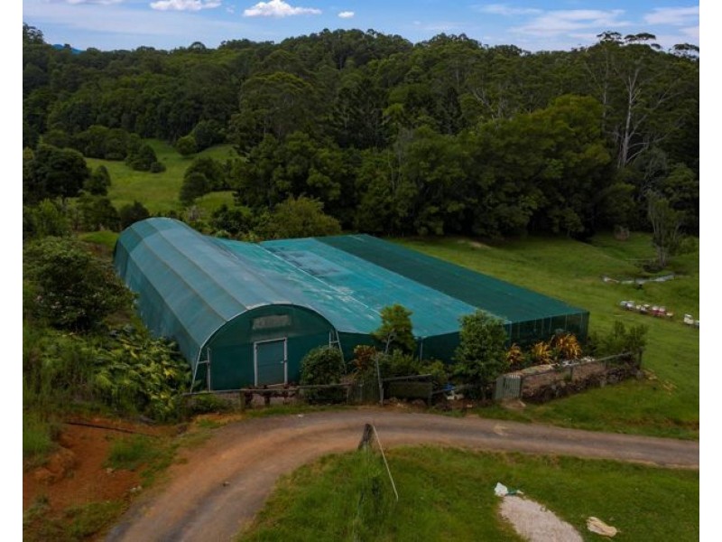 6 Ringtail Road, Stokers Siding NSW 2484