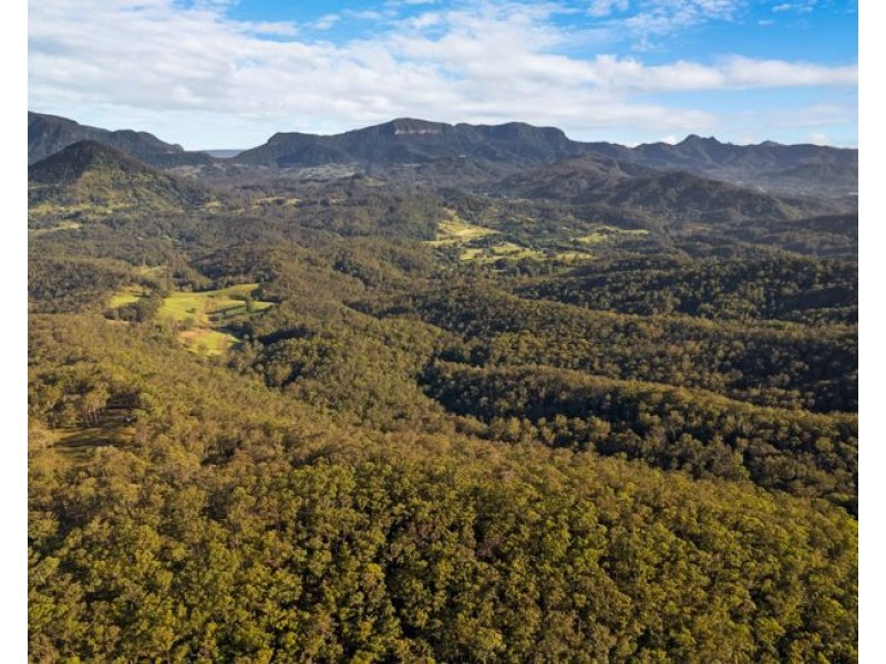 Lot 113 & Lot 124 Boormans Road, Tyalgum NSW 2484