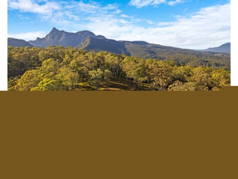 Lot 113 & Lot 124 Boormans Road, Tyalgum NSW 2484