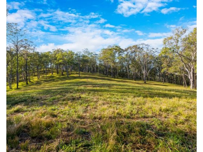 Lot 113 & Lot 124 Boormans Road, Tyalgum NSW 2484