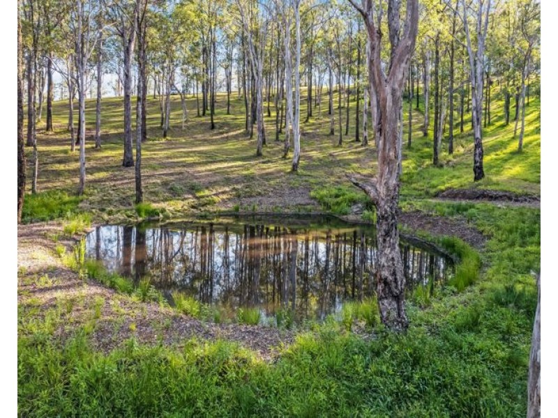 Lot 113 & Lot 124 Boormans Road, Tyalgum NSW 2484