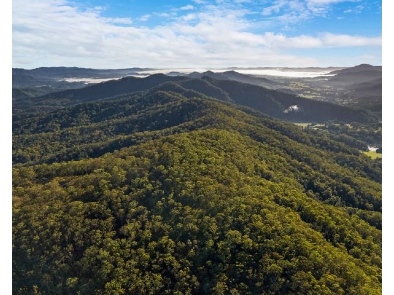 Lot 113 & Lot 124 Boormans Road, Tyalgum NSW 2484