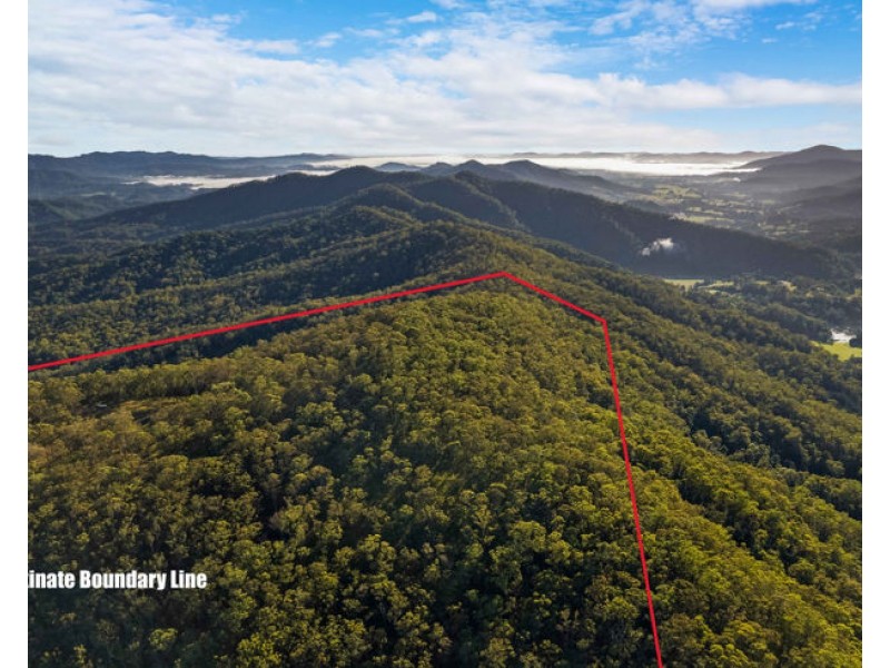 Lot 113 & Lot 124 Boormans Road, Tyalgum NSW 2484