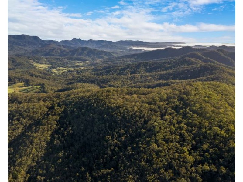 Lot 113 & Lot 124 Boormans Road, Tyalgum NSW 2484