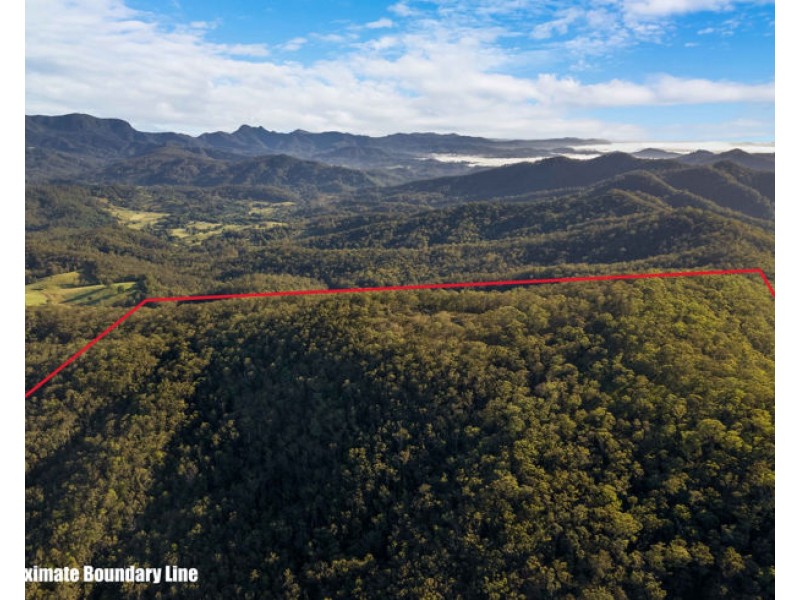 Lot 113 & Lot 124 Boormans Road, Tyalgum NSW 2484