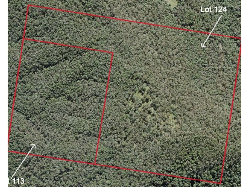 Lot 113 & Lot 124 Boormans Road, Tyalgum NSW 2484