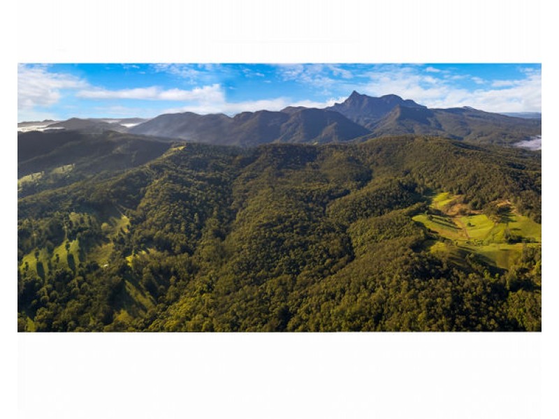 Lot 136 & Lot 138 Boormans Road, Tyalgum NSW 2484