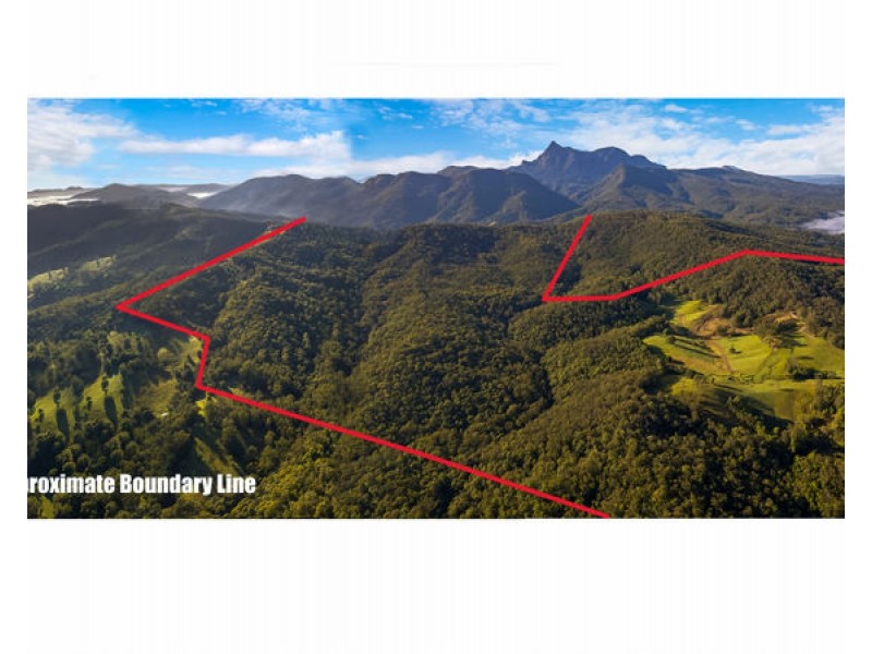 Lot 136 & Lot 138 Boormans Road, Tyalgum NSW 2484