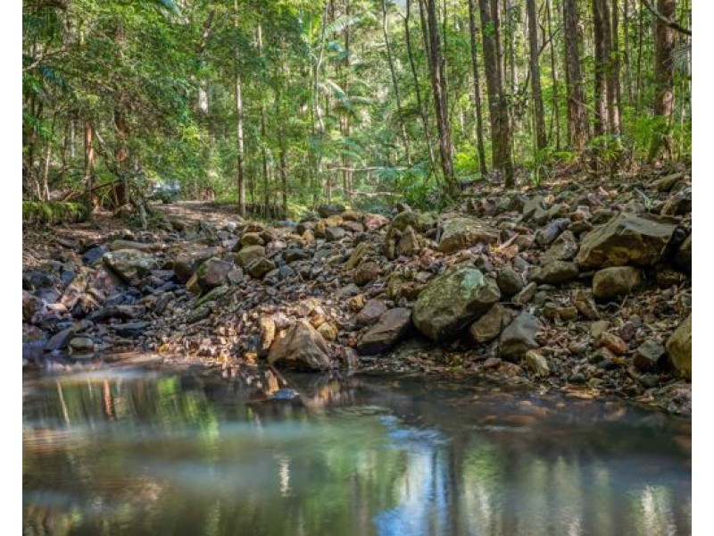 Lot 136 & Lot 138 Boormans Road, Tyalgum NSW 2484