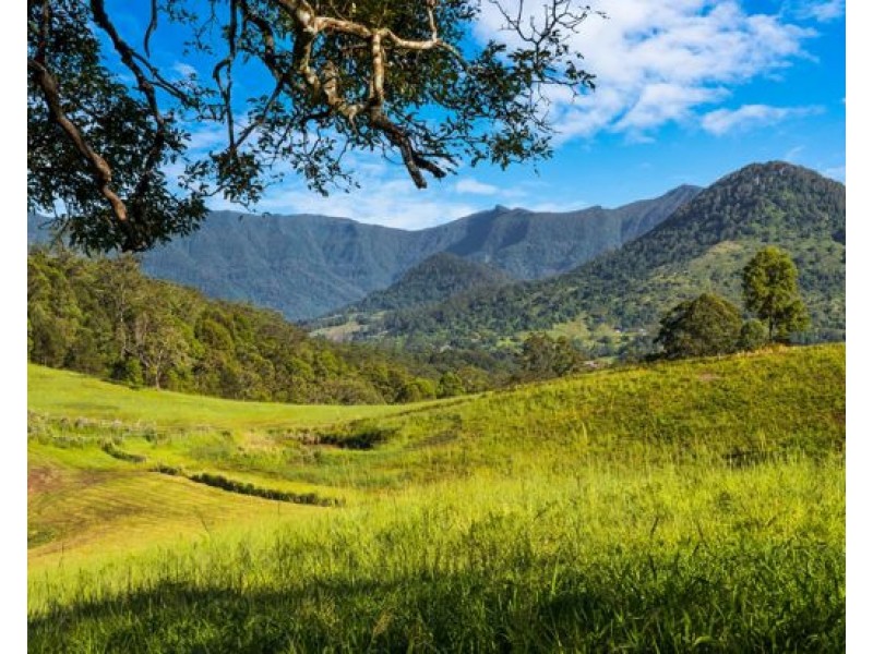 Lot 136 & Lot 138 Boormans Road, Tyalgum NSW 2484