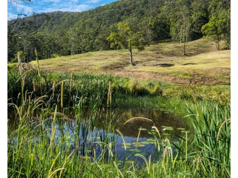 Lot 136 & Lot 138 Boormans Road, Tyalgum NSW 2484