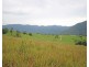 20 Brays Creek Road, Tyalgum NSW 2484
