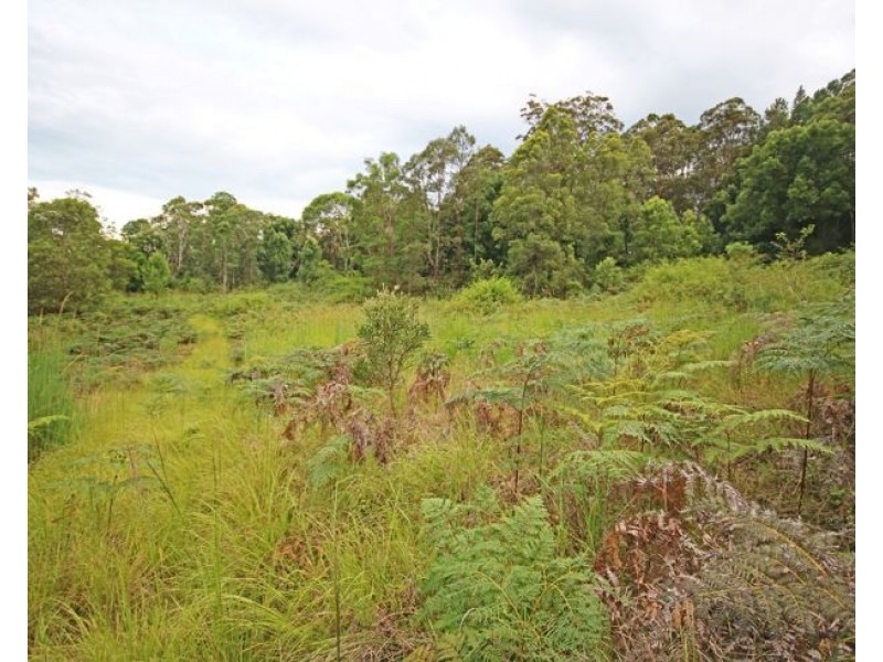 20 Brays Creek Road, Tyalgum NSW 2484