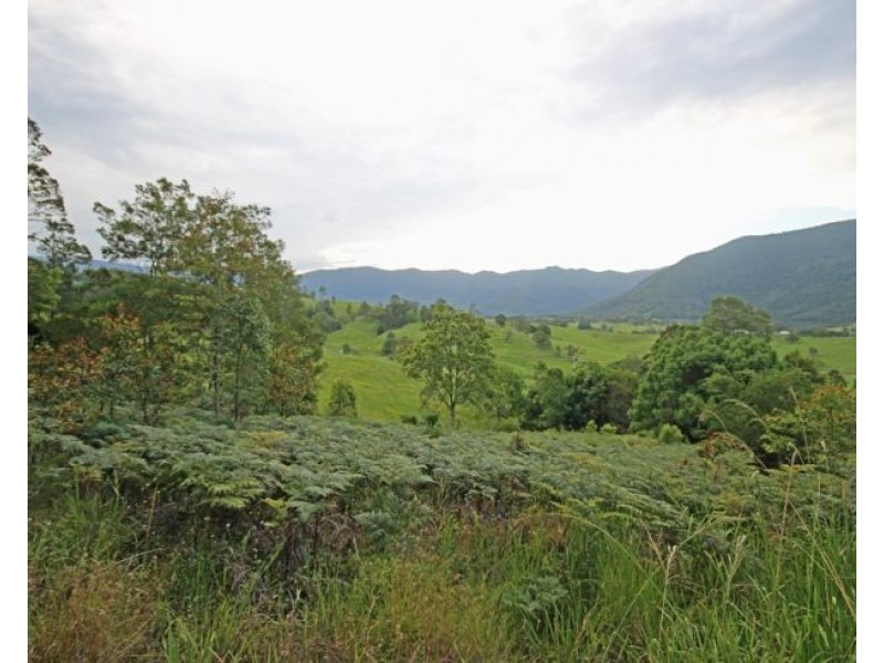 20 Brays Creek Road, Tyalgum NSW 2484
