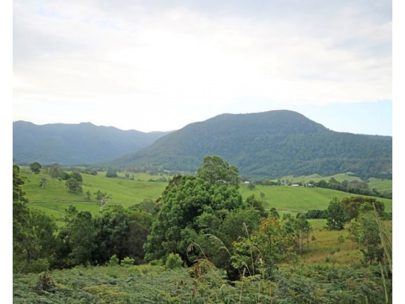 20 Brays Creek Road, Tyalgum NSW 2484