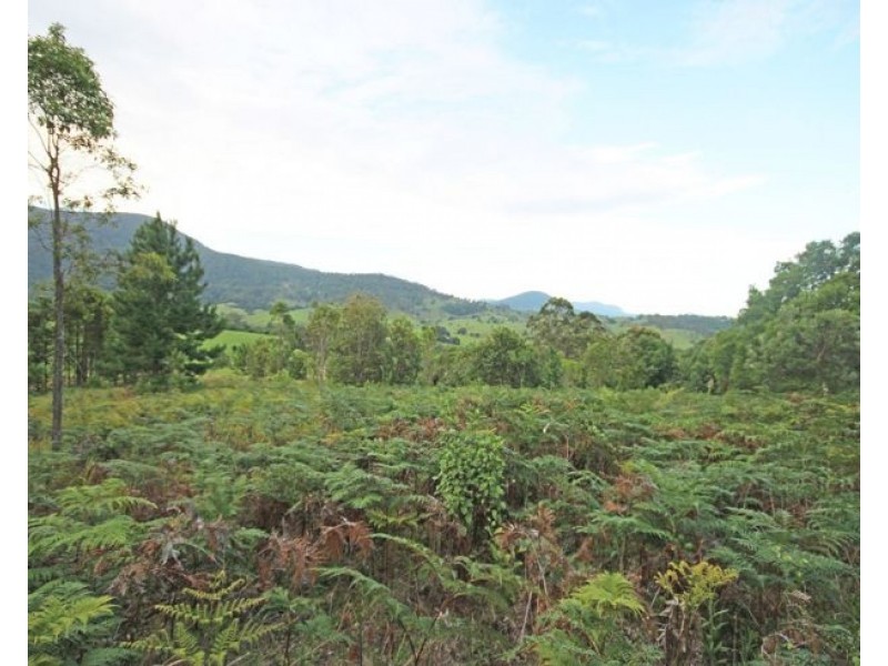 20 Brays Creek Road, Tyalgum NSW 2484