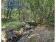 402 Zara Road, Zara NSW 2484